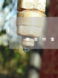有支付宝逾期被起诉的(支付宝逾期起诉吗)