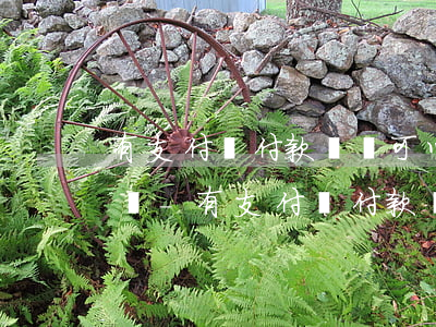 有支付寶付款賬單可以起訴對(duì)方嗎-有支付寶付款賬單可以起訴對(duì)方嗎安全嗎
