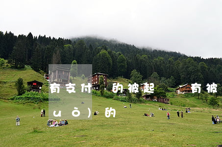 有支付寶的被起訴嗎 有被支付寶訴訟過(guò)的嗎