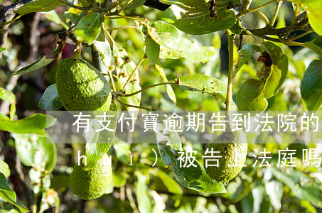 有支付寶逾期告到法院的嗎(支付寶逾期會(huì)被告上法庭嗎)