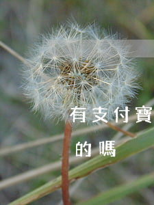 有支付寶逾期幾年的嗎?（有人支付寶逾期幾年的嗎）