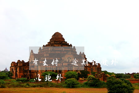 有支付寶逾期能做外賣員嗎(支付寶逾期了可以跑外賣嗎?)