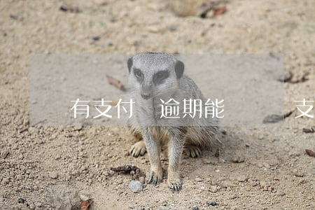 有支付寶逾期能賣車嗎(支付寶逾期可以買車嗎?)