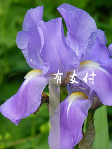 有支付寶逾期被起訴(支付寶逾期起訴案件)