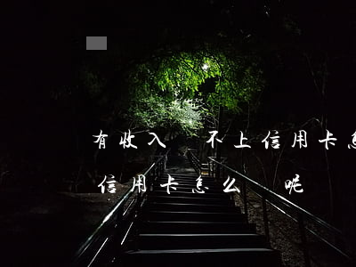 有收入還不上信用卡怎么辦-有收入還不上信用卡怎么辦呢
