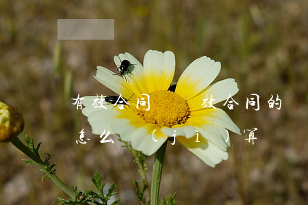有效合同與無效合同的訴訟時(shí)效怎么計(jì)算