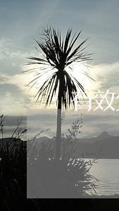 有效欠條寫法示范圖片(欠條怎么寫范本圖片)