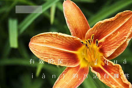 有效的保證債權(quán)順利實現(xiàn)的方法有哪些