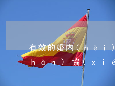 有效的婚內(nèi)財(cái)產(chǎn)協(xié)議范本