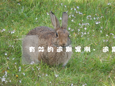 有效的逾期案例-逾期貸款催收案例