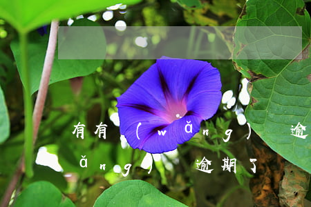 有有網(wǎng)貸逾期的朋友嗎(網(wǎng)貸逾期了)