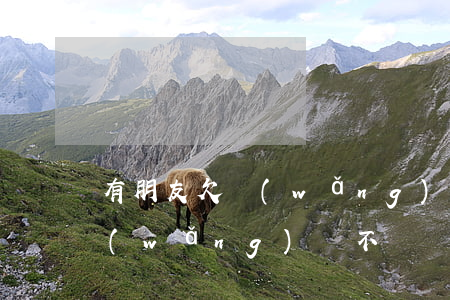 有朋友欠網(wǎng)貸不還(有朋友欠網(wǎng)貸不還)