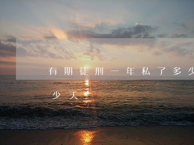 有期徒刑一年私了多少钱(有期徒刑一年是多少天)