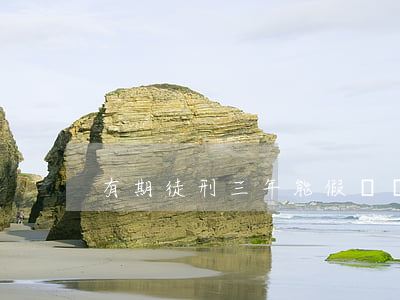 有期徒刑三年能假釋嗎