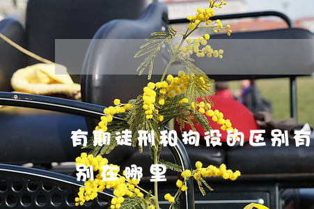 有期徒刑和拘役的区别(有期徒刑和拘役的区别在哪里)