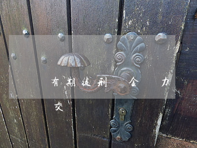 有期徒刑罰金無力償還(有期徒刑罰款可以不交錢嗎)