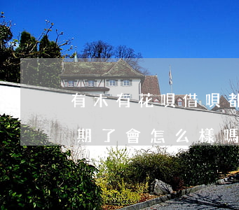 有木有花唄借唄都逾期的(支付寶花唄借唄逾期了會怎么樣嗎)
