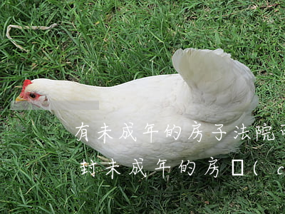 有未成年的房子法院可以拍賣嗎(法院可以查封未成年的房產(chǎn)嗎)