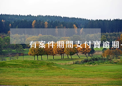 有案件期間支付寶逾期-支付寶逾期的