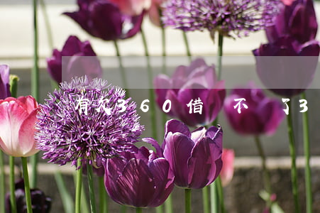 有欠360借條不還了(360借條還不完)