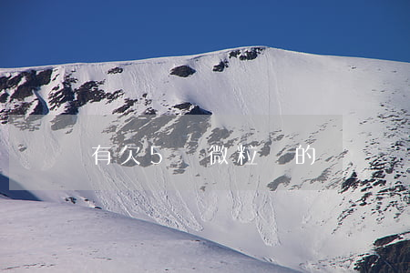 有欠5萬微粒貸的嗎