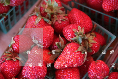 有欠一萬(wàn)被網(wǎng)貸起訴嗎(網(wǎng)貸欠一萬(wàn)多值得起訴嗎)