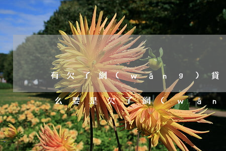 有欠了網(wǎng)貸沒(méi)還的么(要是欠了網(wǎng)貸沒(méi)有還會(huì)怎么樣)