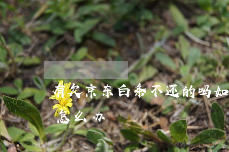 有欠京东白条不还的吗(如果欠京东白条不还怎么办)