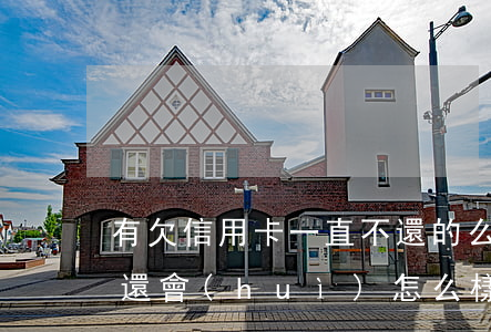 有欠信用卡一直不還的么(信用卡一直欠款不還會(huì)怎么樣)