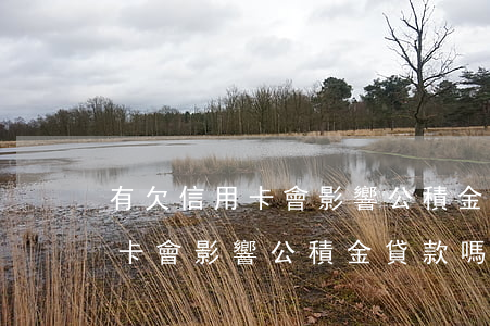 有欠信用卡會影響公積金貸款嗎-有欠信用卡會影響公積金貸款嗎知乎