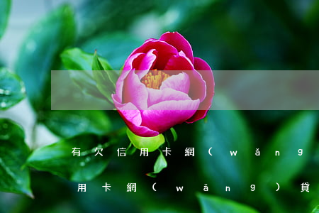 有欠信用卡網(wǎng)貸不還的(有欠信用卡網(wǎng)貸不還的)