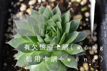 有欠信用卡網(wǎng)貸跑路的嗎6(欠信用卡網(wǎng)貸60多萬)