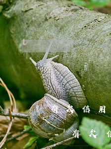 有欠信用卡起訴后還可以協(xié)商嗎-有欠信用卡起訴后還可以協(xié)商嗎怎么辦