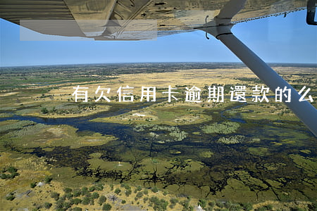 有欠信用卡逾期還款的么(信用卡逾期還了)