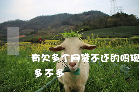 有欠多个网贷不还的吗(现在借网贷不还的人多不多)