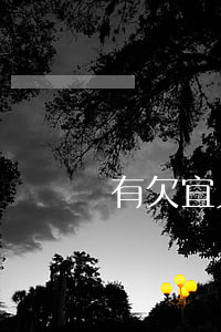 有欠宜人貸被起訴了(宜人貸勝訴)