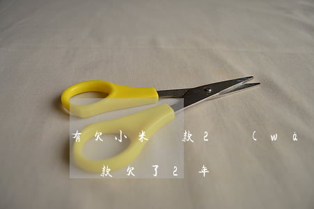 有欠小米貸款2萬(wàn)逾期的嗎(小米貸款欠了2年)