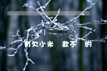 有欠小米貸款不還的嗎