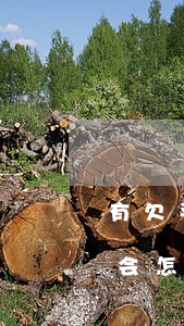 有欠平安贷贷卡钱的吗(平安普惠贷款还不上会怎么样)