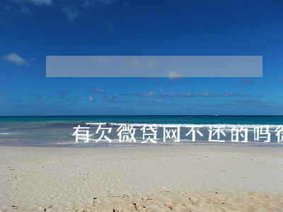 有欠微贷网不还的吗(微贷网现在还能借款吗)