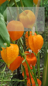 有欠招聯(lián)金融錢沒還的(招聯(lián)金融欠錢會(huì)找到家里嗎?)