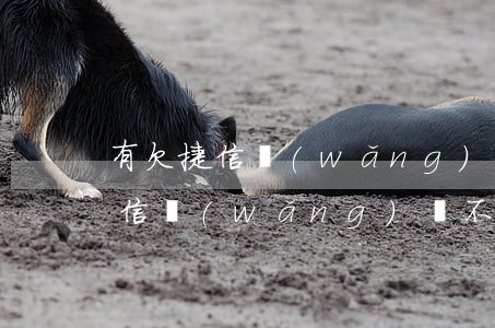 有欠捷信網(wǎng)貸不還的嗎(有欠捷信網(wǎng)貸不還的嗎)