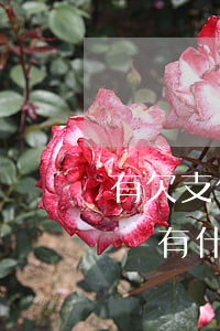 有欠支付寶借唄跑掉的嗎(支付寶借唄欠款不還有什么后果會上門嗎)