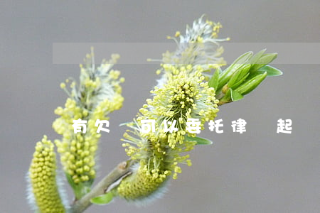 有欠條可以委托律師起訴嗎(欠條能不能起訴)