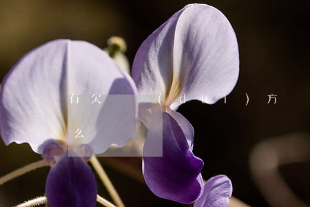 有欠條對(duì)方無(wú)力還錢怎么辦