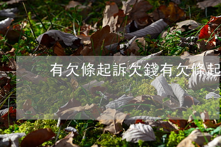 有欠條起訴欠錢(有欠條起訴欠錢怎么處理)