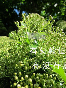 有欠款但是沒逾期影響征信么(征信沒有逾期有沒有影響)
