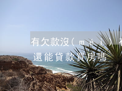 有欠款沒(méi)有逾期能房貸嗎(有逾期還能貸款買房嗎)
