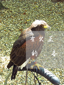 有欠正規(guī)網(wǎng)貸逾期的嗎(各種網(wǎng)貸逾期)