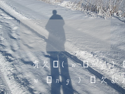 有欠網(wǎng)貸20萬以上的嗎(網(wǎng)貸欠款20w)